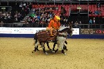Quadrille - 00025